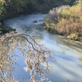 Palmetto State Park - That's water down there - Parks Near Me - Gonzales, Texas Palmetto State Park - That's water down there - Parks Near Me - Gonzales, Texas