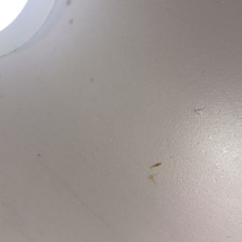 Flamingo Las Vegas - Stains on ceiling - Hotels Near Me - Las Vegas, Nevada