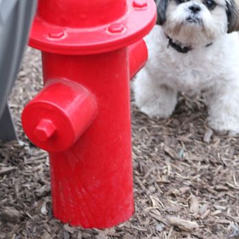 The Shacks - Dog Parks Near Me - The Colony, Texas