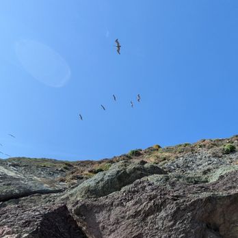 Pfeiffer Beach - Beaches Near Me - Big Sur, California