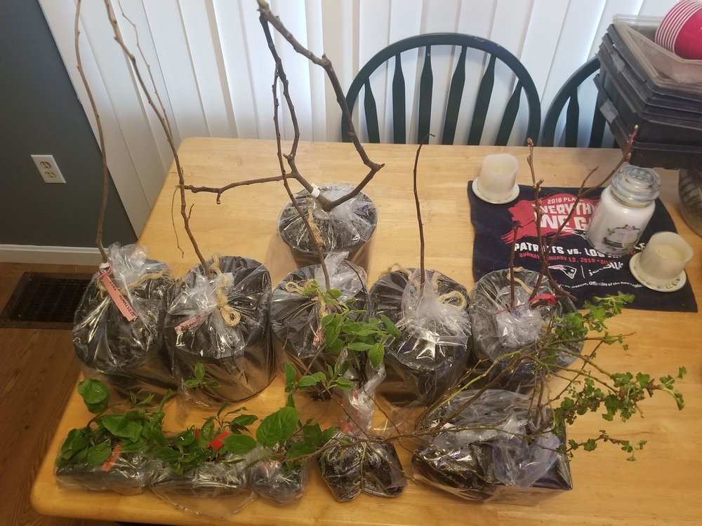 HARTMANN’S PLANT Updated May 2024 310 60th St, Grand Junction