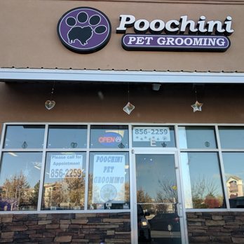 Poochini Pet Grooming - Pet Groomers Near Me - Albuquerque, New Mexico