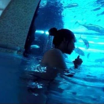 Golden Nugget Pool - Swimming Pools Near Me - Las Vegas, Nevada
