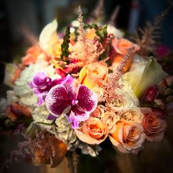 Rosa Rosa Flowers - Make Up Shades!