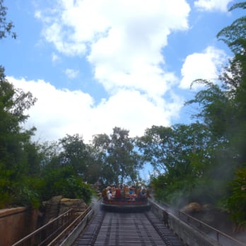 Kali River Rapids - Amusement Parks Near Me - Lake Buena Vista, Florida