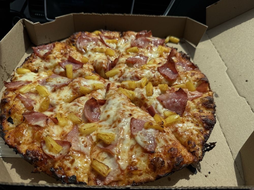 Domino’s Pizza Logo