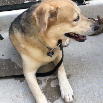 360 Brunch House - Dog friendly patio for sure! - Breakfast & Brunch Near Me - Mansfield, Texas 360 Brunch House - Dog friendly patio for sure! - Breakfast & Brunch Near Me - Mansfield, Texas