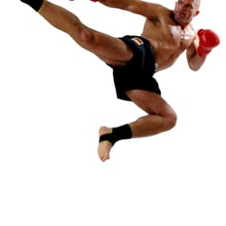 Kickboxen-Deutschland