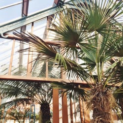 Universiteits Museum Utrecht - Oude Hortus