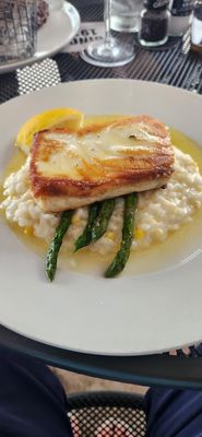 Olympia Tea Room by null