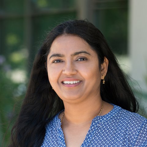 Sai N Gollapudi, M.D - child therapist in Stockton, CA
