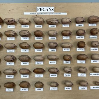 Duke Pecan - Specialty Food Near Me - West Point, Mississippi Duke Pecan - Specialty Food Near Me - West Point, Mississippi