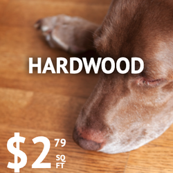Floor Trader
