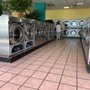 Photo of Lemon Fresh Wash & Dry