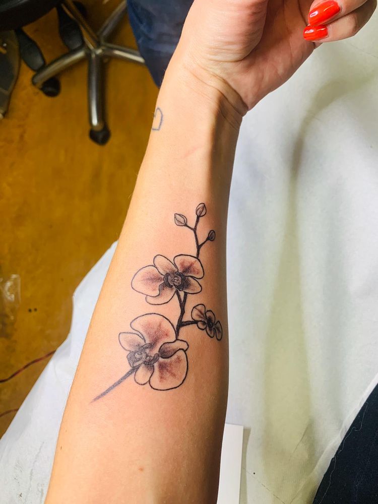 HOUSE OF TATTOOS 18 Photos & 12 Reviews Haarlemmerdijk 130c