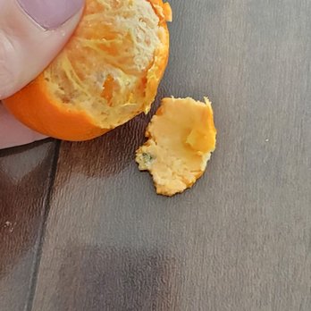 Chipotle Mexican Grill - The moldy cutie - Mexican Near Me - Banning, California