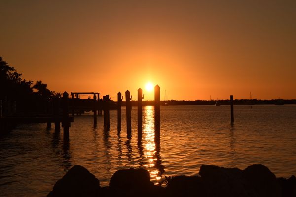 Mangrove Marina by null