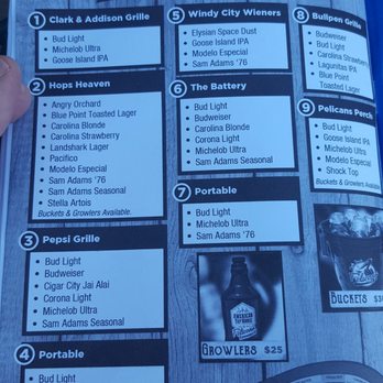 Myrtle Beach Pelicans - Yep. - Professional Sports Teams Near Me - Myrtle Beach, South Carolina