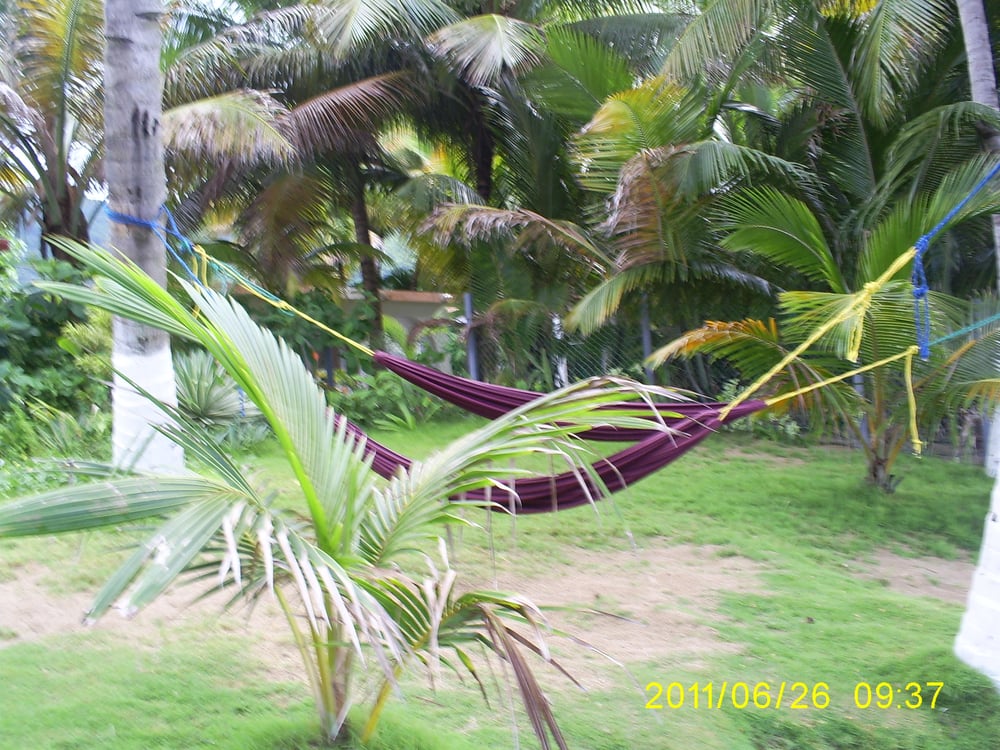 Lisa Prokay, PCC - grief counselor in Avon Lake, OH