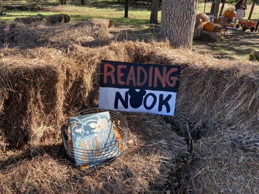 BULVERDE PUMPKIN PATCH - TEMP. CLOSED - Updated January 2026 - 41