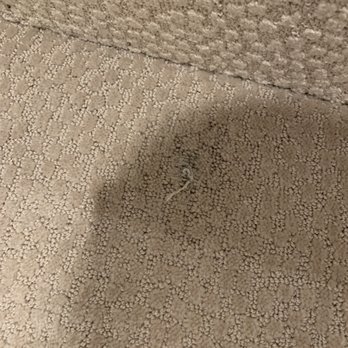 Alpha Remodeling & Construction - Damaged carpet , oil and pulled thread that is now bleached - General Contractors Near Me