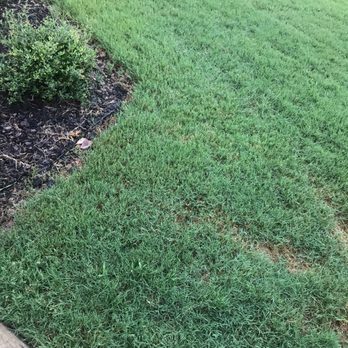 TruGreen Lawn Care - Tree Services Near Me - Birmingham, Alabama TruGreen Lawn Care - Tree Services Near Me - Birmingham, Alabama