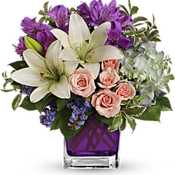 Dekker's Flowers - Pretty Pastures