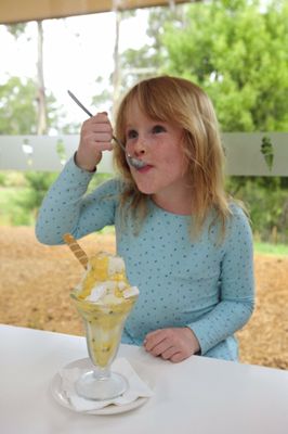 Timboon Fine Ice Cream by null