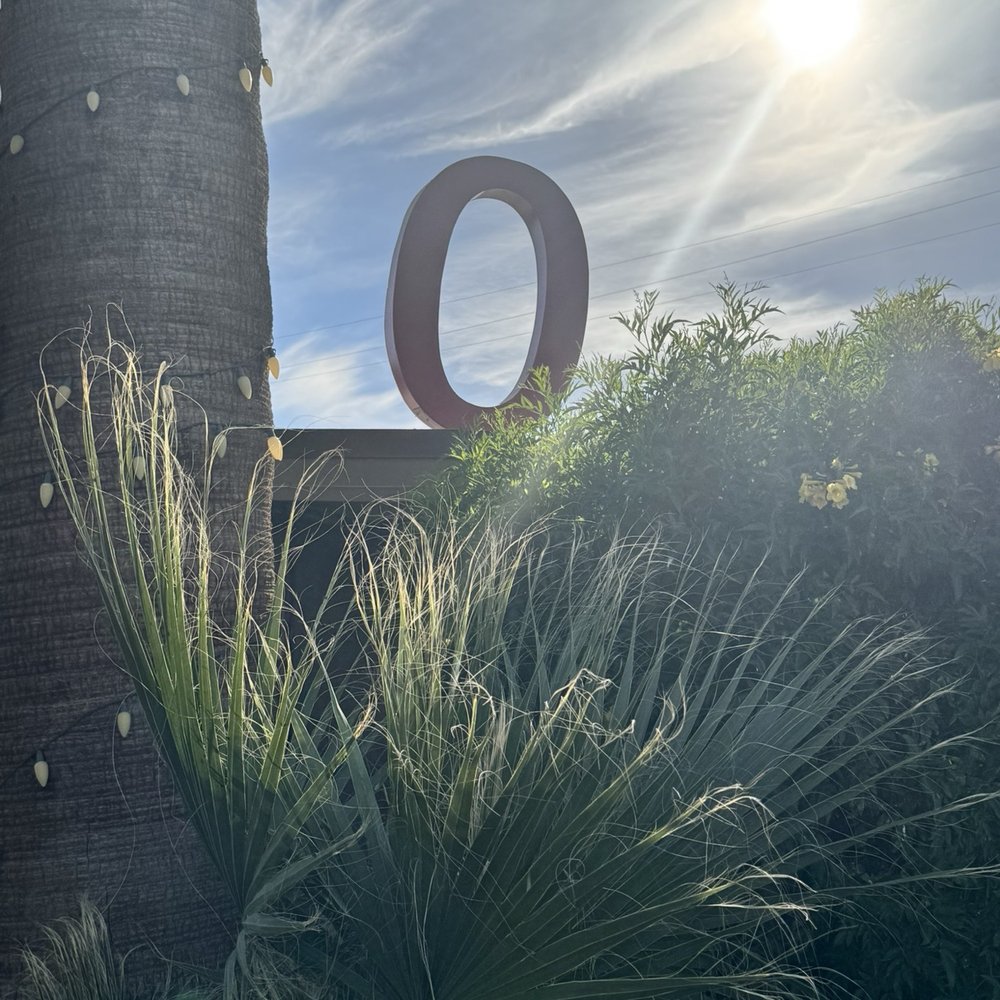 Red Ocotillo - "O" for Ocotillo but also for awesome "Oasis!" - American Near Me - Borrego Springs, California