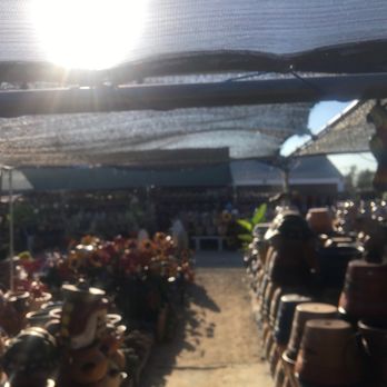 La Madrina’s Nursery - Nurseries & Gardening Near Me - Riverside, California