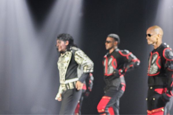 MJ The Evolution by null