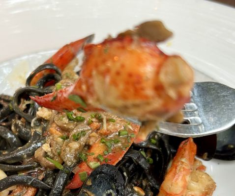 Piccolo Santa Monica by null