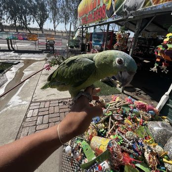Marquez Pets - Pet Stores Near Me - Bakersfield, California Marquez Pets - Pet Stores Near Me - Bakersfield, California