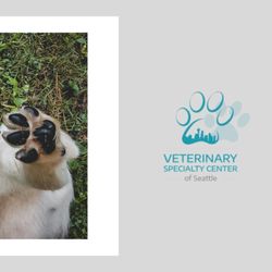 Veterinary Specialty Center of Seattle