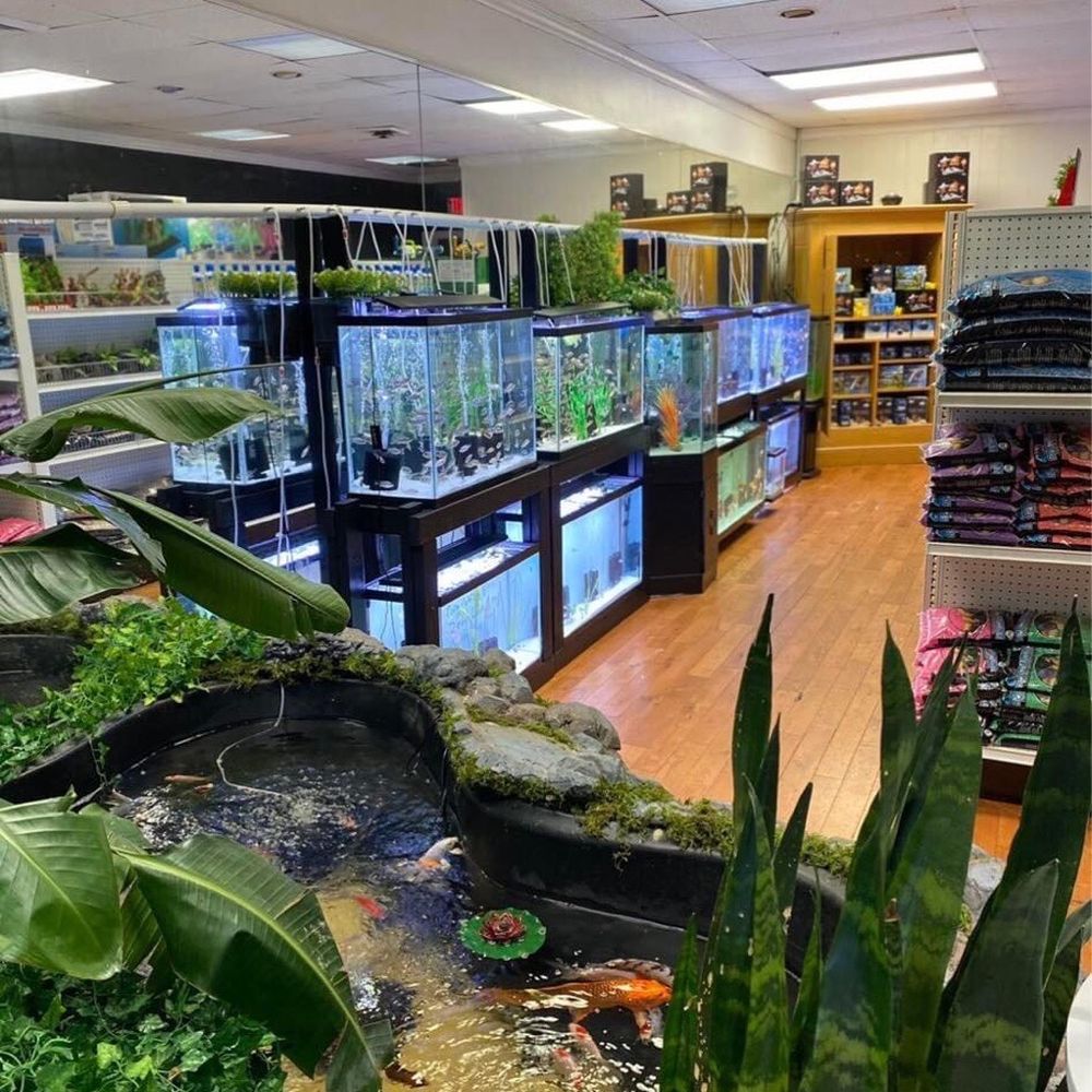 pet aquarium store