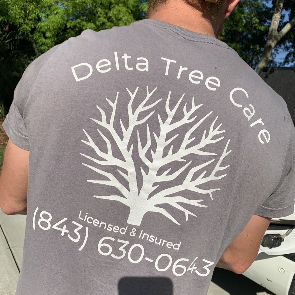 Delta Tree Care - Attire - Tree Services Near Me - Pawleys Island, South Carolina