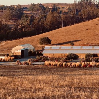 Bloomfield Farms - Farms Near Me - Petaluma, California