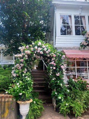 LoveShackFancy by null