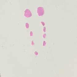 New York Nails Salon - The gel fell off before I even made it home!