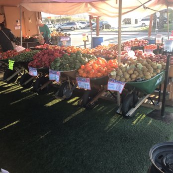 Concord Produce Market - In the front of the store, lots of discounted produce - Grocery Near Me - Concord, California Concord Produce Market - In the front of the store, lots of discounted produce - Grocery Near Me - Concord, California