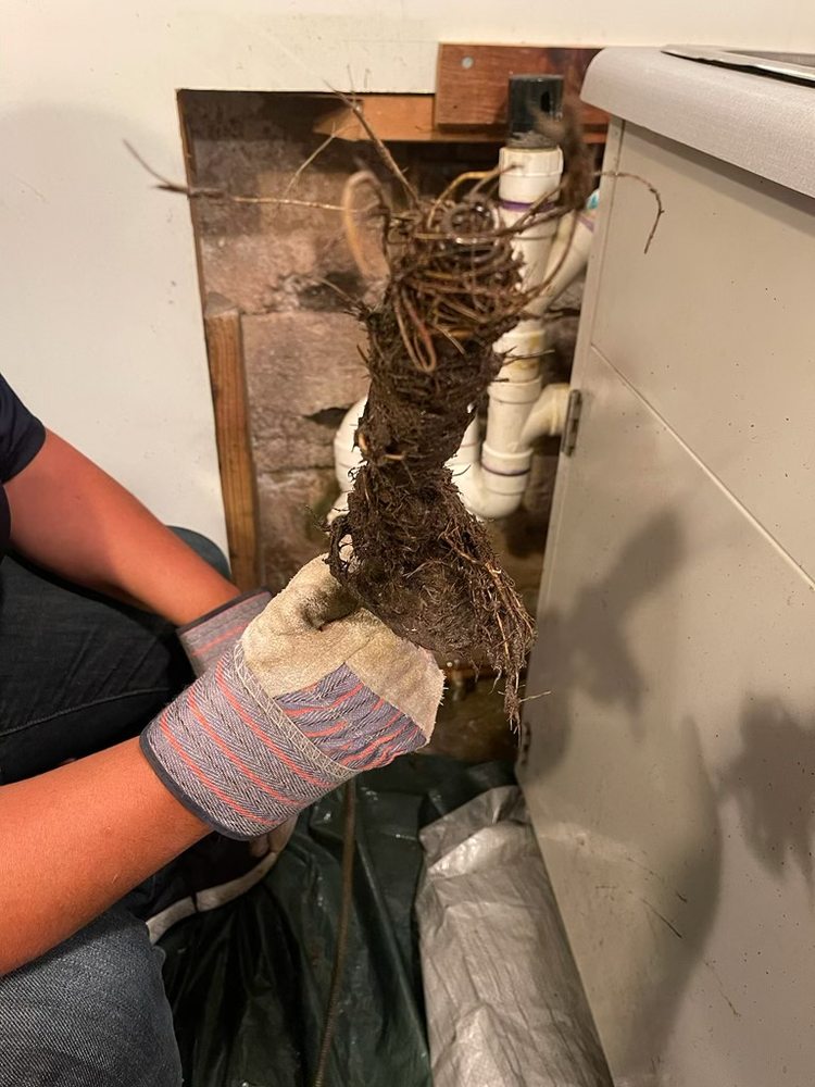 Slide of Anne The Plumber