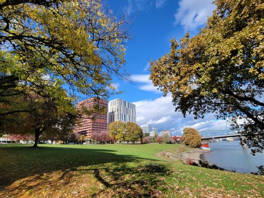 Tom McCall Waterfront Park by null