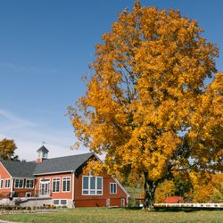 The Raymond Family Farm - Fall is full of color and beauty at the barn.