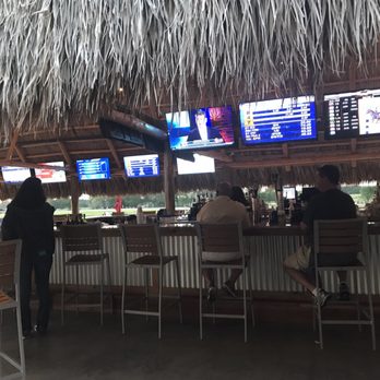 Oxford Downs - Tiki Bars Near Me - Summerfield, Florida