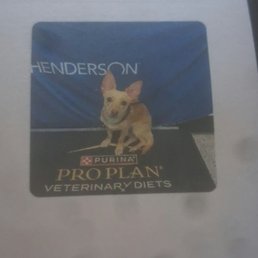 Our beloved puppy Quiquag. Gone too soon due to negligence Our beloved puppy Quiquag. Gone too soon due to negligence