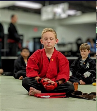 Action Karate Huntingdon Valley Logo