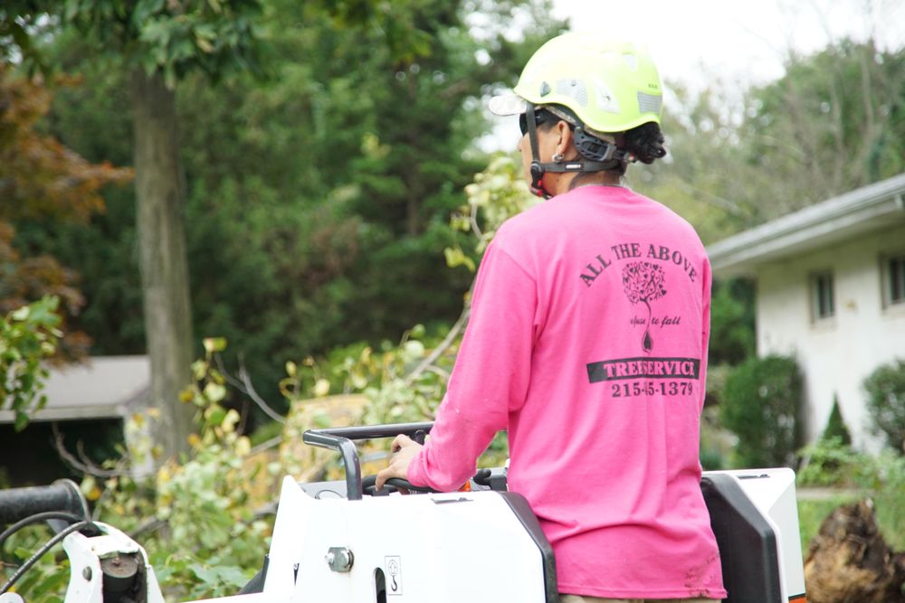 ALL THE ABOVE TREE SERVICE Updated July 2024 134 Photos & 21