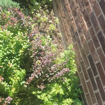 Diamond Landscaping - Landscaping Near Me - Pittsburgh, Pennsylvania