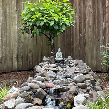 Down To Earth - Fountain Buddha - Nurseries & Gardening Near Me - Eugene, Oregon