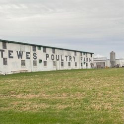 Tewes Poultry Farm - Outside